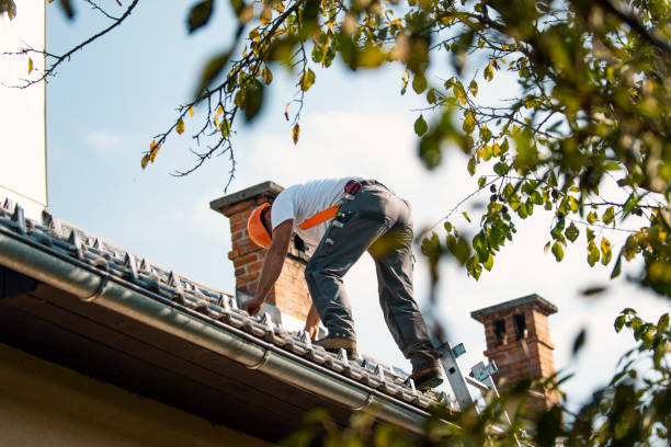 Best Roof Gutter Cleaning  in Conover, NC